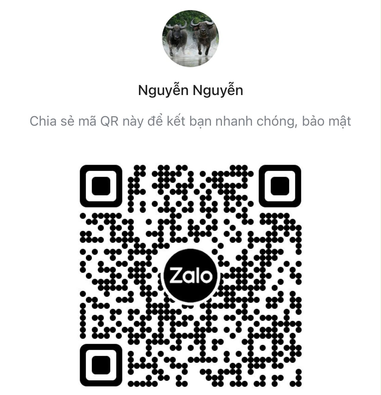Zalo QR